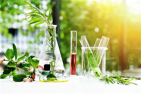  Fundamentals of Agrochemistry: Unveiling Nature's Secrets Through Chemical Mastery!