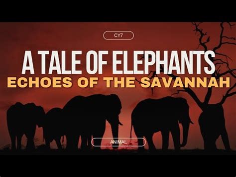  When the Elephants Dance: A Tale of the Zambezi: Echoes of ancestral spirits mingling with modern struggles for identity