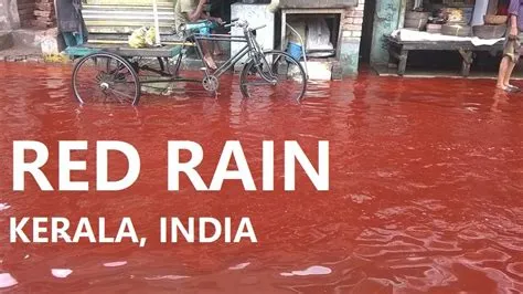  Red Rain: Uma Jornada em Tons de Sangue e Esperança